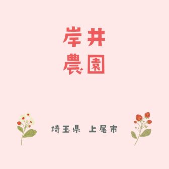 埼玉に関する記事一覧 いちご狩りドットコム