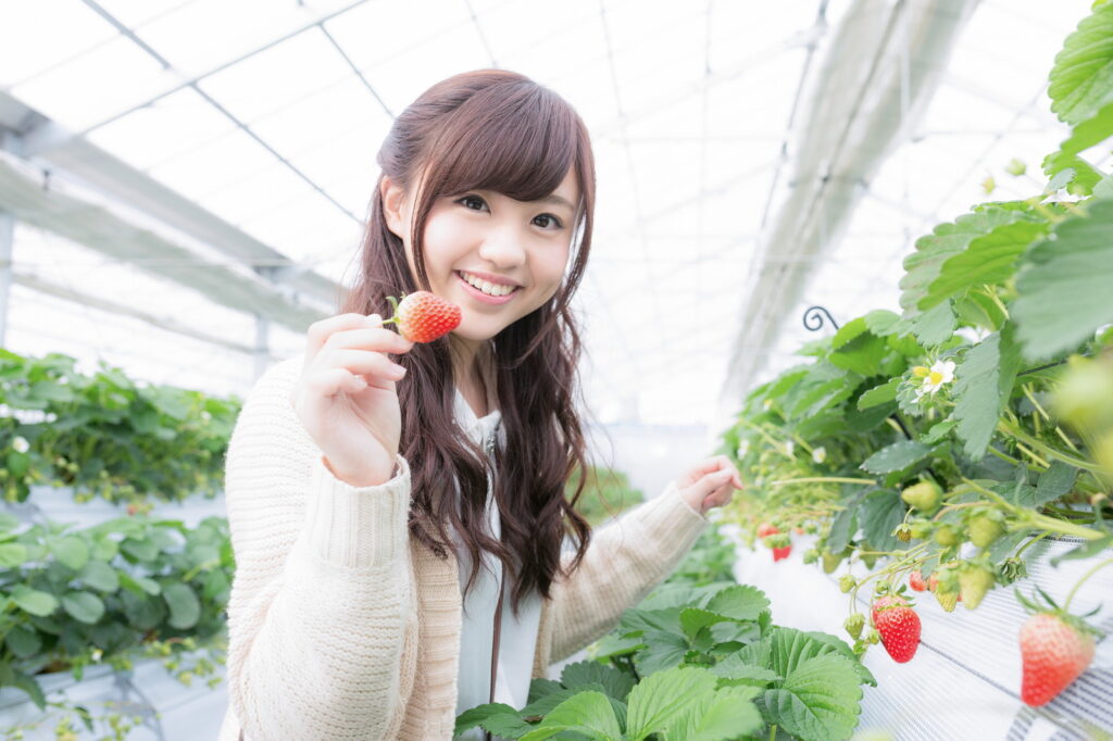 いちごは食べ方を間違えると健康に悪いって本当?