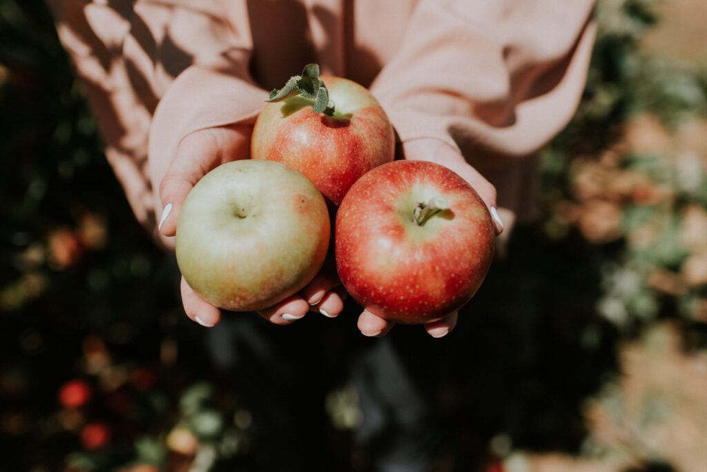 秋のフルーツをイメージさせるりんご