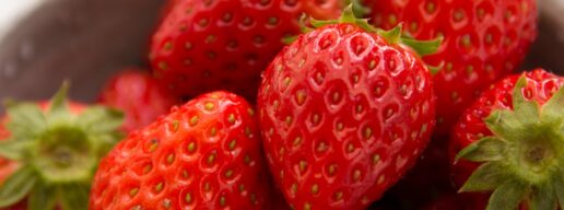 秋もいちご狩りできる？いちご狩りできる農園と注意点